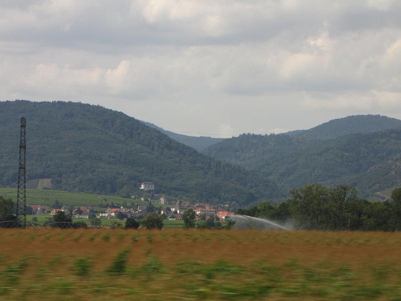 IMG_9128