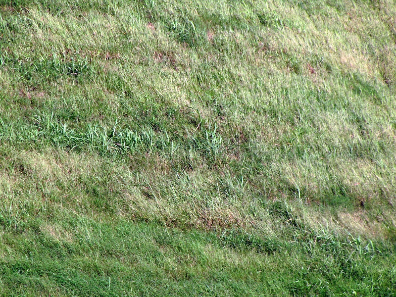 IMG_3161