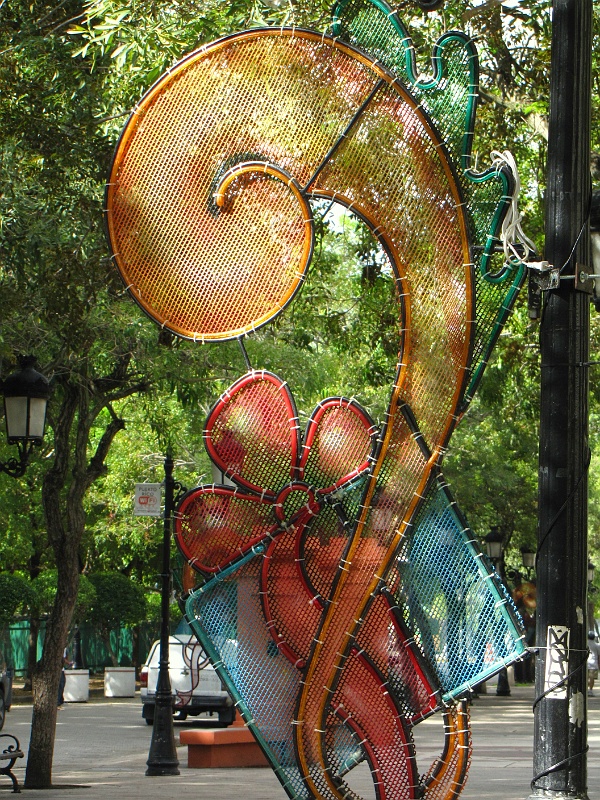 IMG_4456