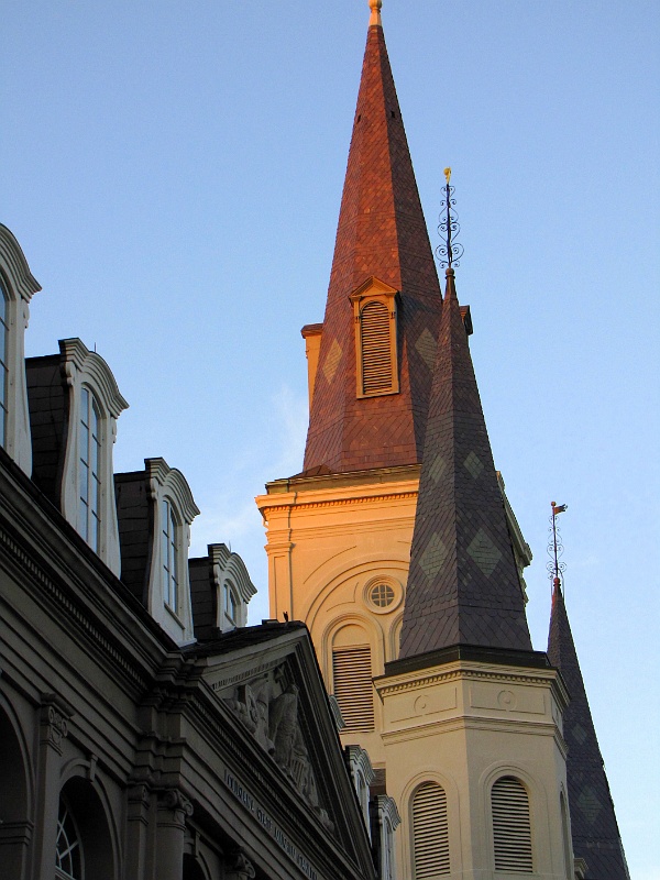 IMG_8517