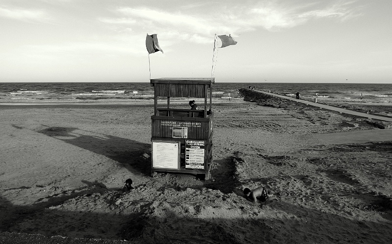 P1000655