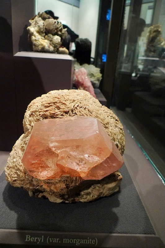 P1010493