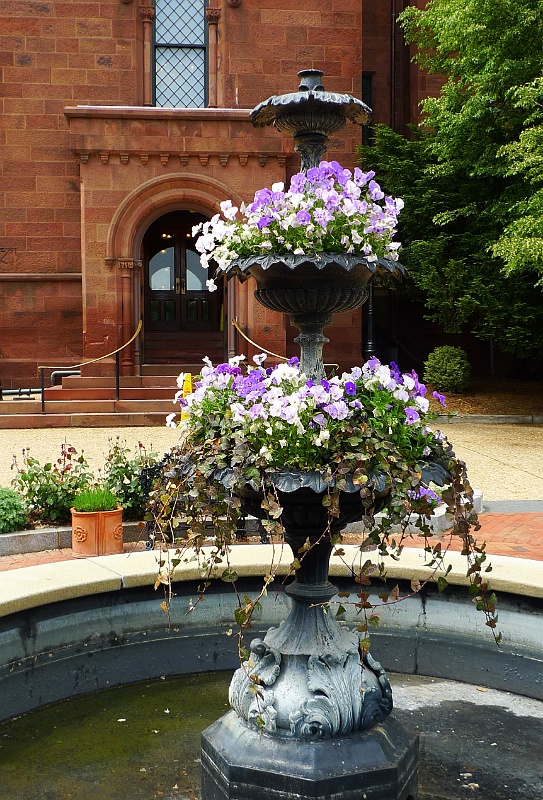 P1010954