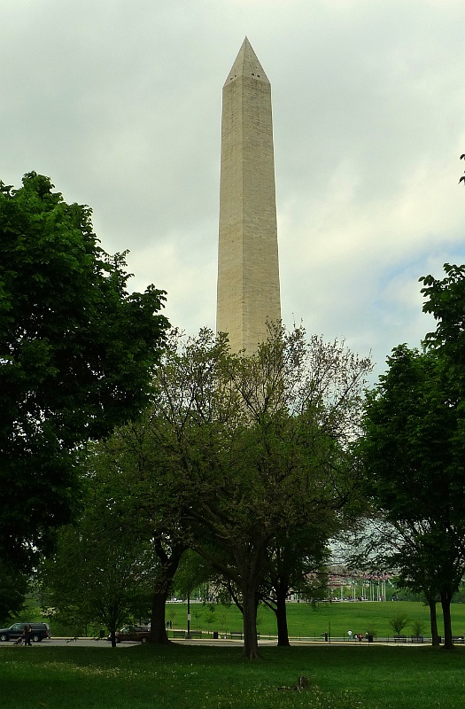 P1010973