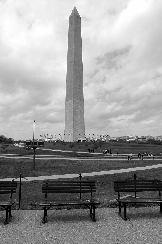 P1010975