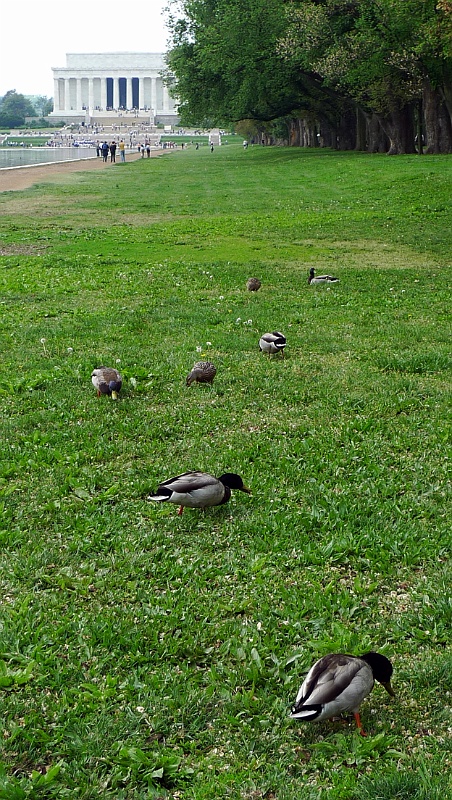P1020051