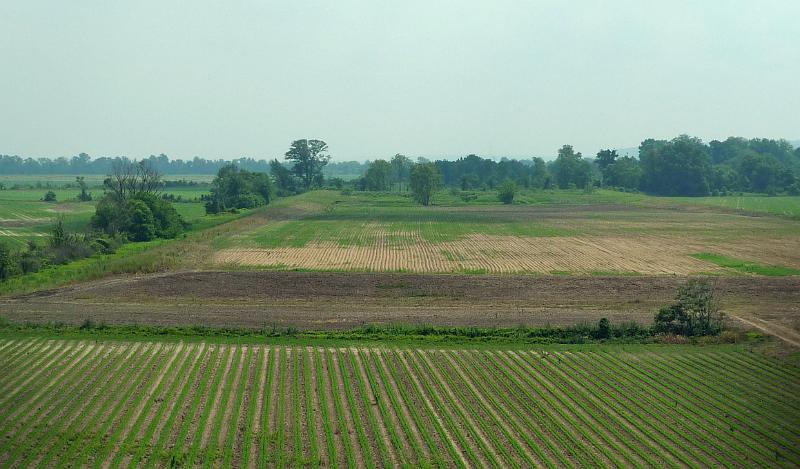 P1040121