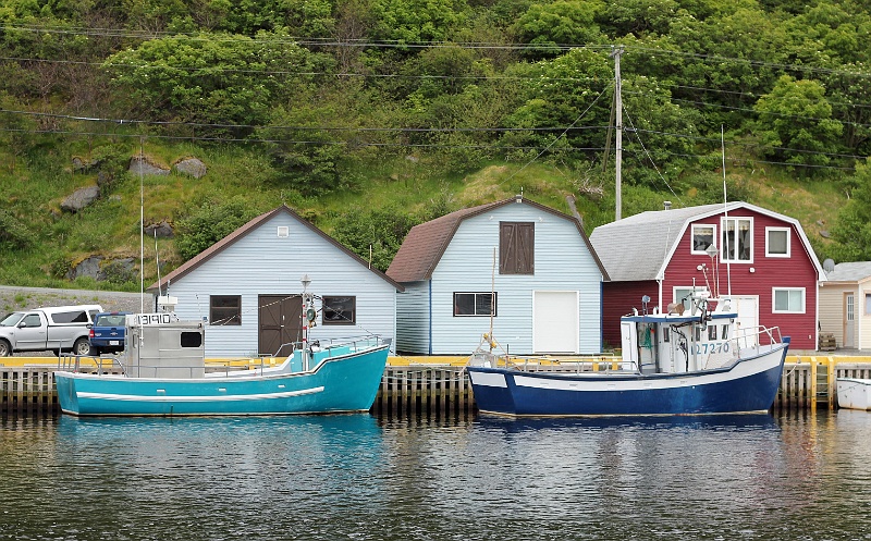 IMG_3037