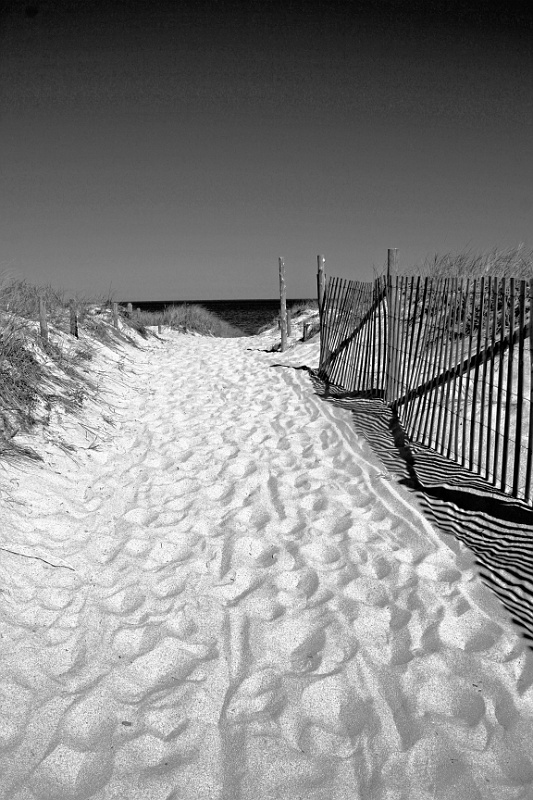 IMG_3207