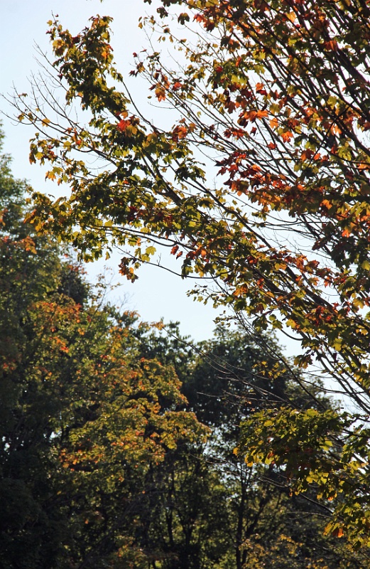 IMG_4852