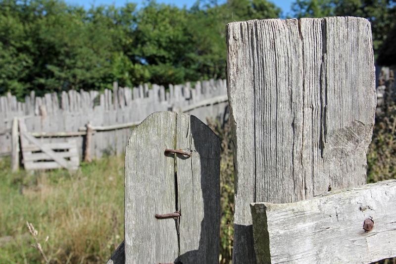 IMG_2039