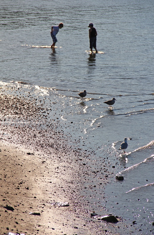 IMG_2643
