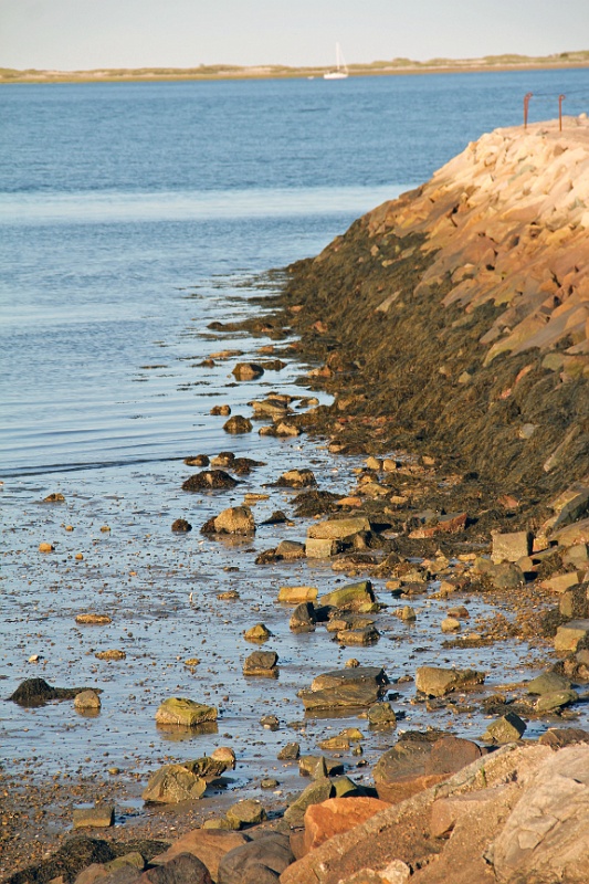 IMG_2740
