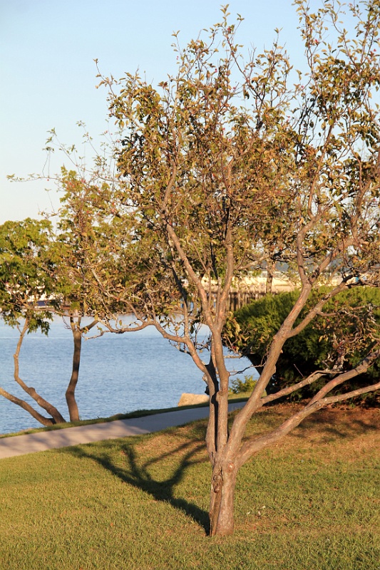IMG_2826