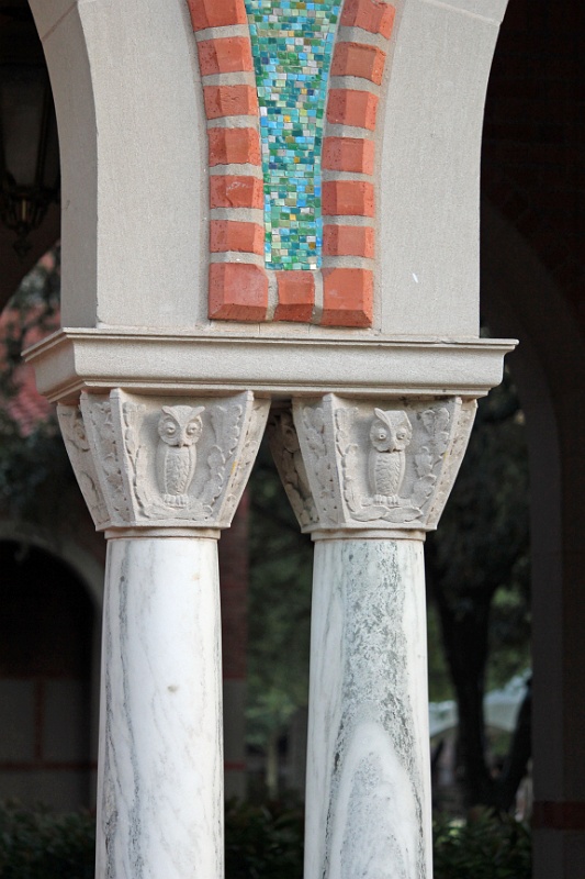 IMG_9859