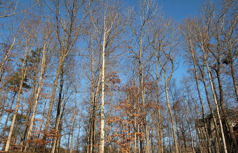 IMG_3488