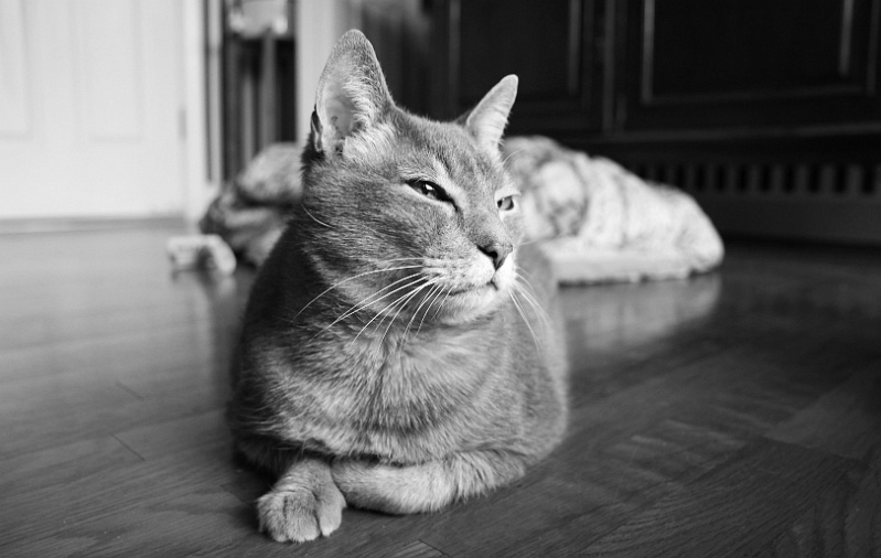 IMG_3540