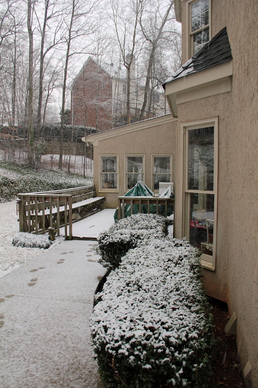 IMG_3878