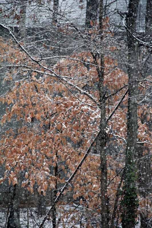 IMG_4058