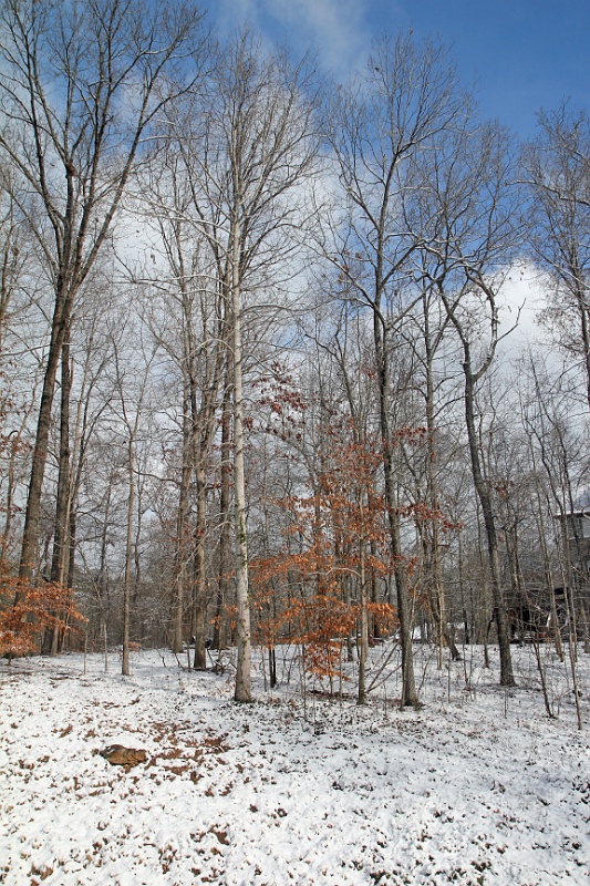 IMG_4363