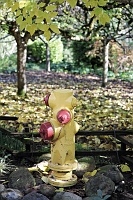  Colorful Fire Hydrant, Schramsberg Vineyards