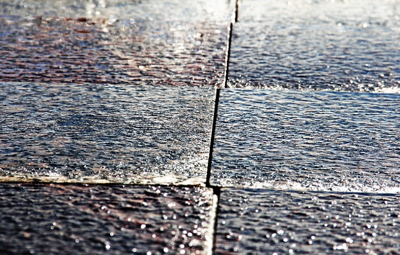 IMG_6290