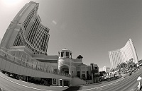  The Palazzo & The Mirage