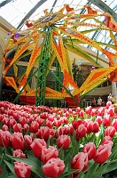  Bellagio Conservatory and Botanical Gardens