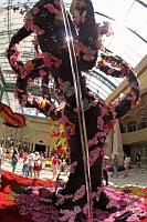  Bellagio Conservatory and Botanical Gardens