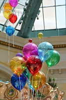  Bellagio Conservatory and Botanical Gardens