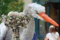  Bellagio Conservatory and Botanical Gardens
