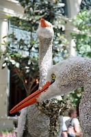  Bellagio Conservatory and Botanical Gardens