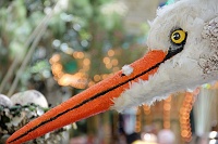  Bellagio Conservatory and Botanical Gardens