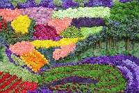  Bellagio Conservatory and Botanical Gardens
