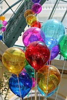  Bellagio Conservatory and Botanical Gardens