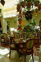  Buffet, Wynn