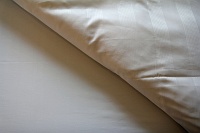 Hotels