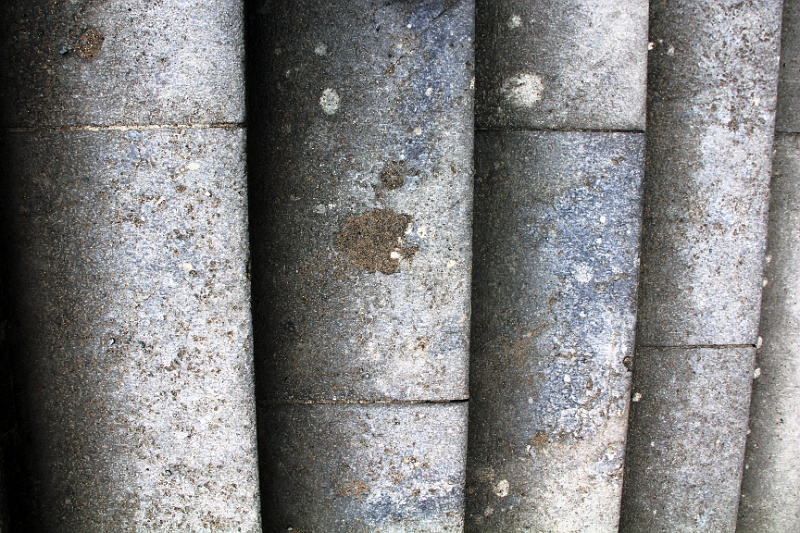 IMG_7636