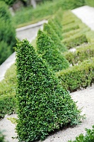  Residenz Court Gardens