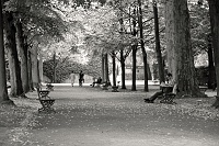  Residenz Court Gardens