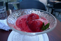  Panna Cotta with Strawberry Puree