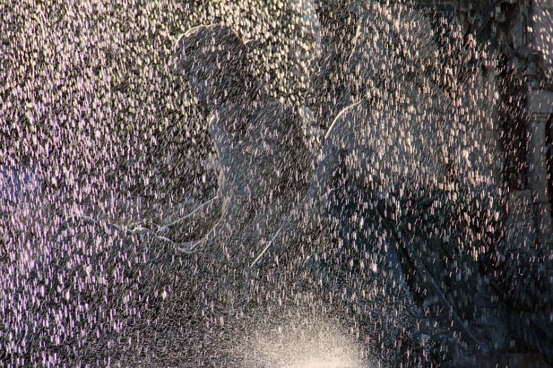 IMG_1213