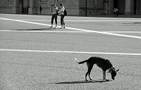  Praça do comercio