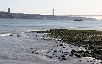  O Tejo, Off Praça do comercio