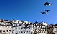  Praça da Figueira