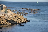Portuguese Coast