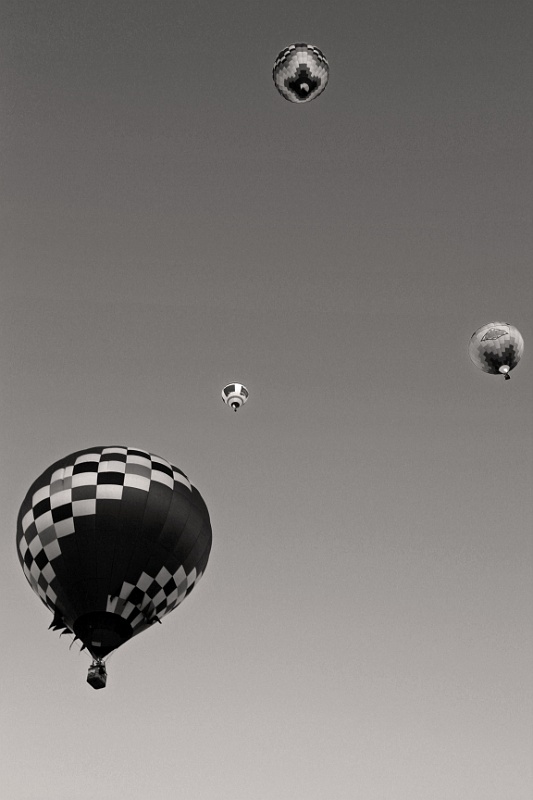 IMG_5988