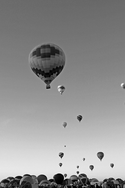 IMG_6018