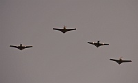  Opening Day Fly-Over
