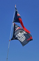  Texans spirit on display in Miller Lite Orange Lot on the grounds of Reliant Stadium.